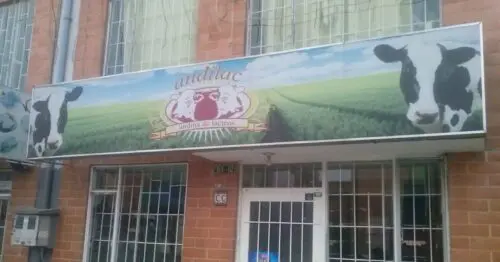 ANDINA DE LACTEOS ANDILAC BOGOTÁ ANDINA DE LACTEOS ANDILAC BOGOTÁ